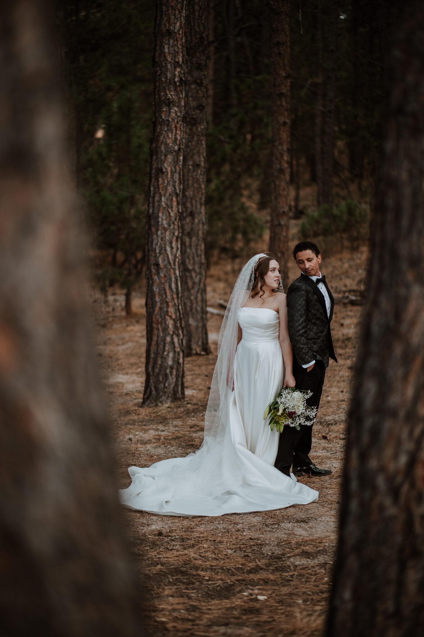 Intimate wedding portraits with dreamy forest light at Wedgewood Weddings Colorado Springs